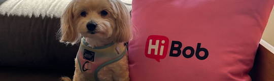 HiBob